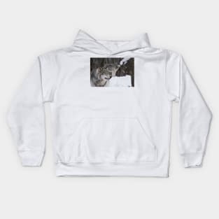 Gray Wolves Kids Hoodie